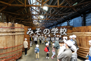 みその学校選べる