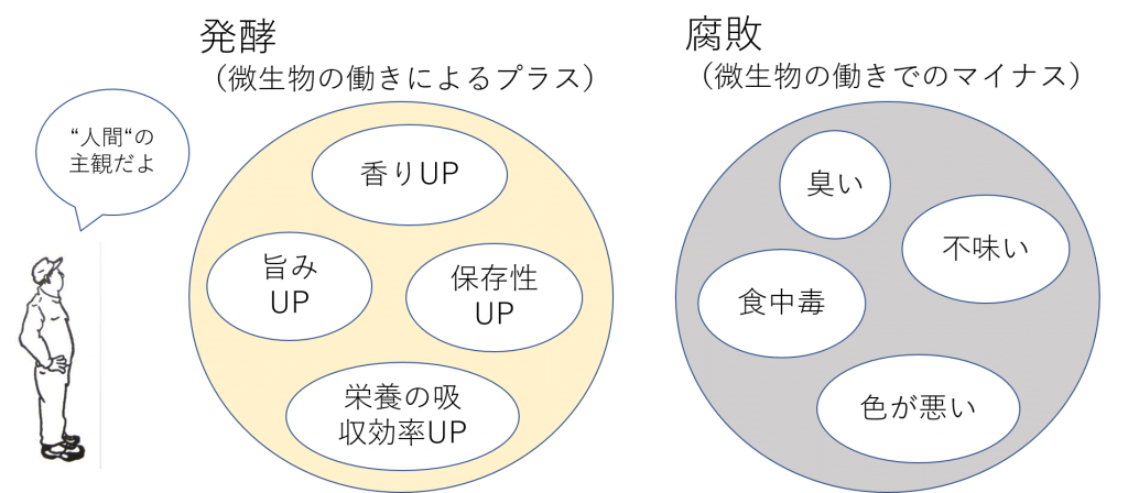 発酵腐敗違い, 発酵 腐敗 見分け方 – KYPQJD
