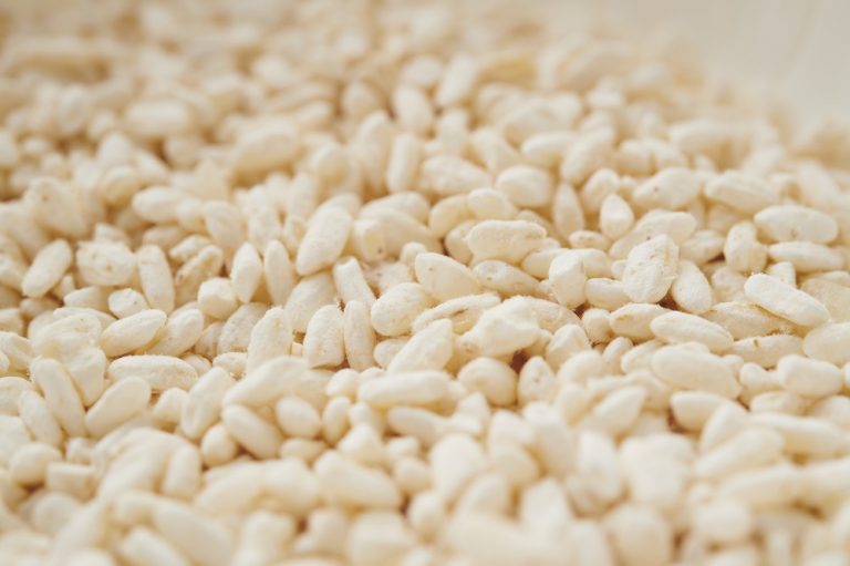 日本の国菌！？麹菌とは？ 手前みそのススメ