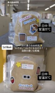 自由研究