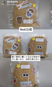 自由研究