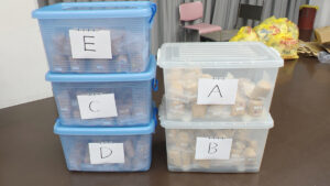 南山女子部コラボ